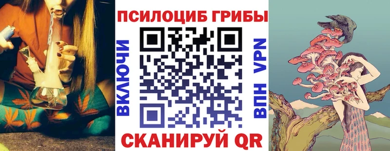 Галлюциногенные грибы Psilocybe  hydra ССЫЛКА  Зима 