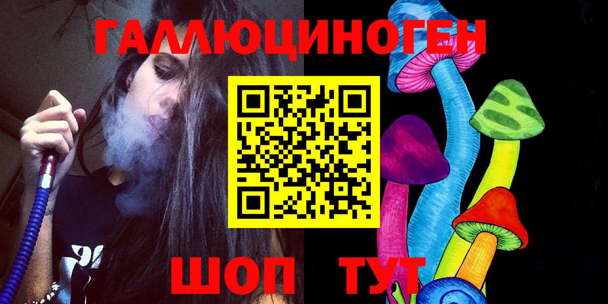 Псилоцибиновые грибы Cubensis  Зима 