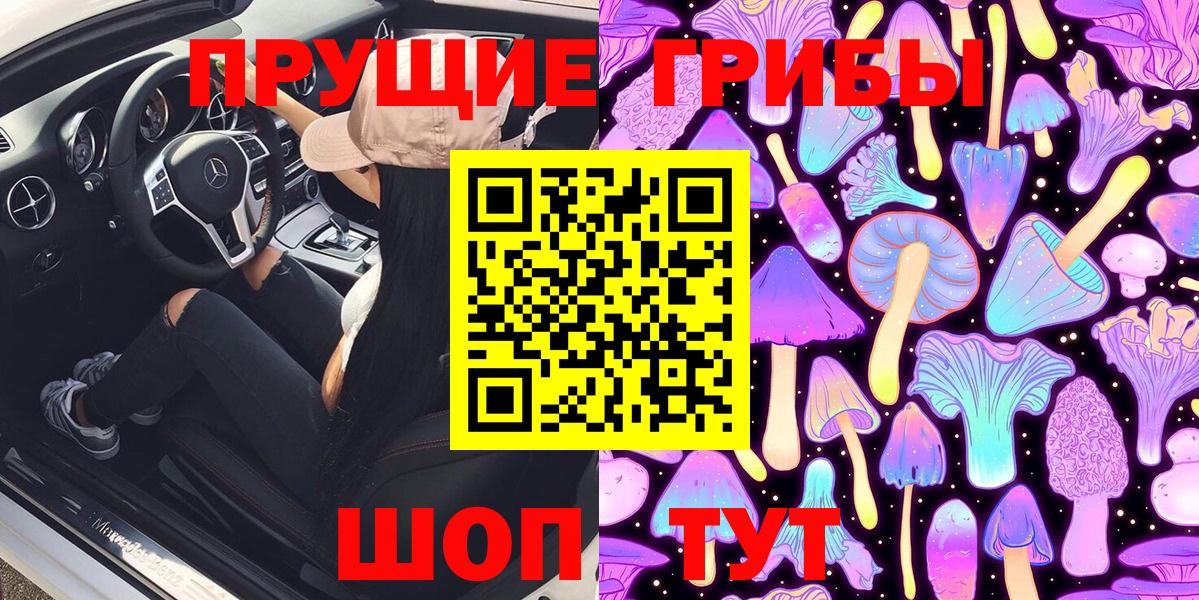 Псилоцибиновые грибы ЛСД Зима
